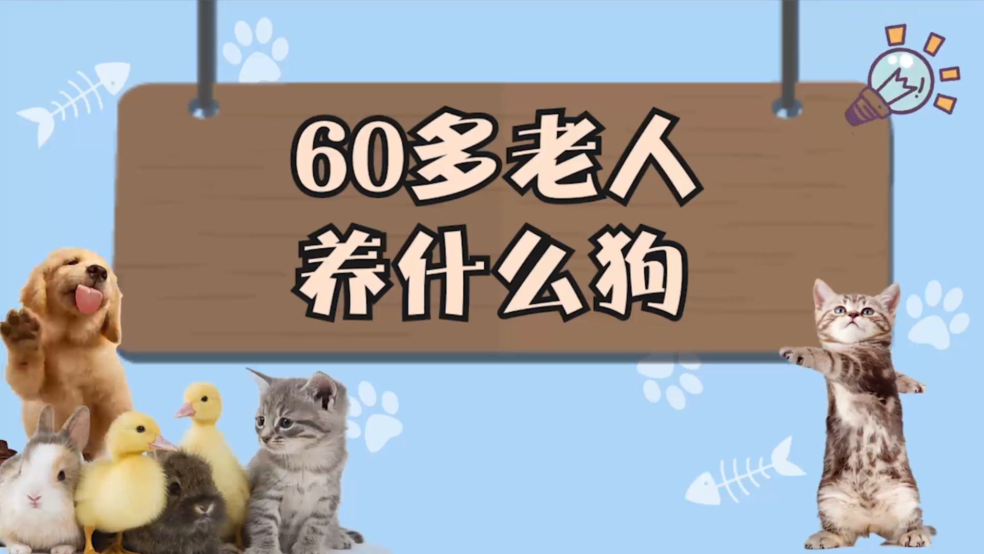 60多老人养什么狗