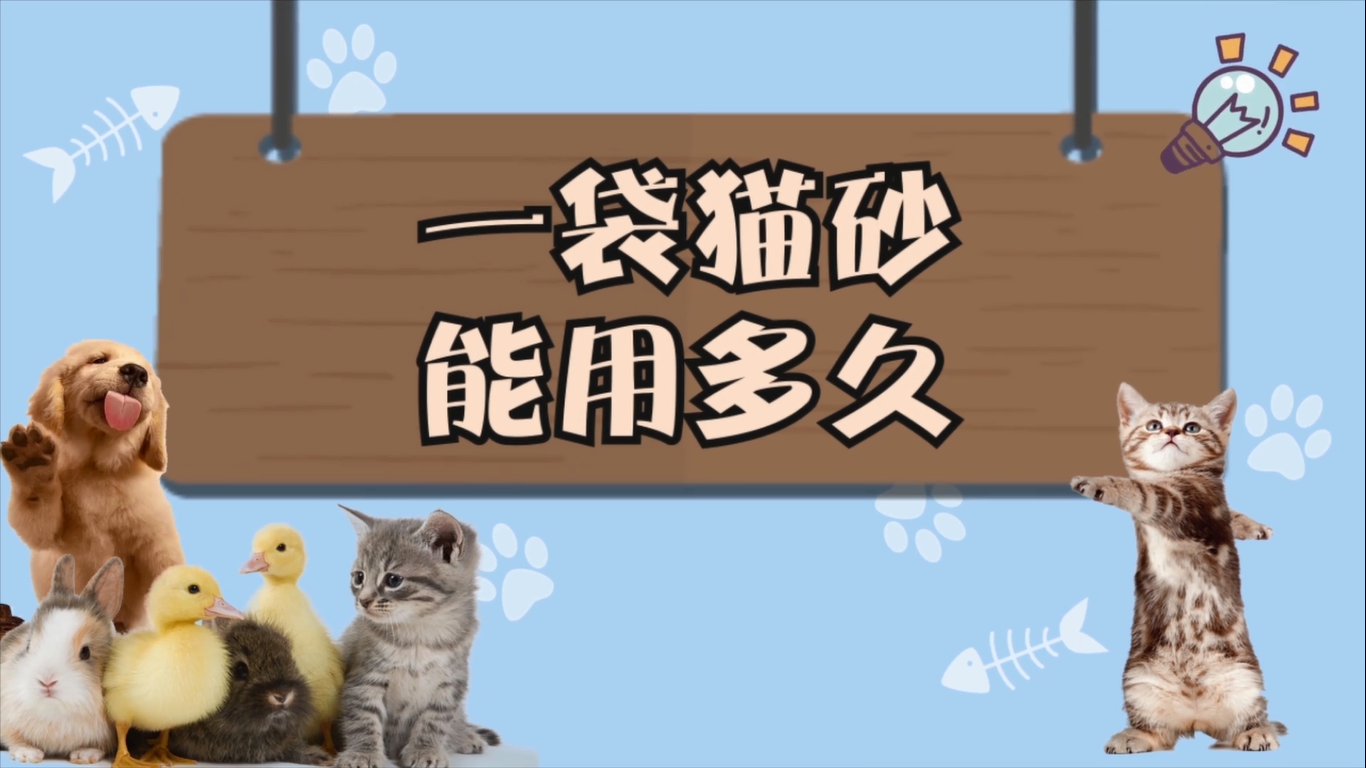 一袋猫砂能用多久