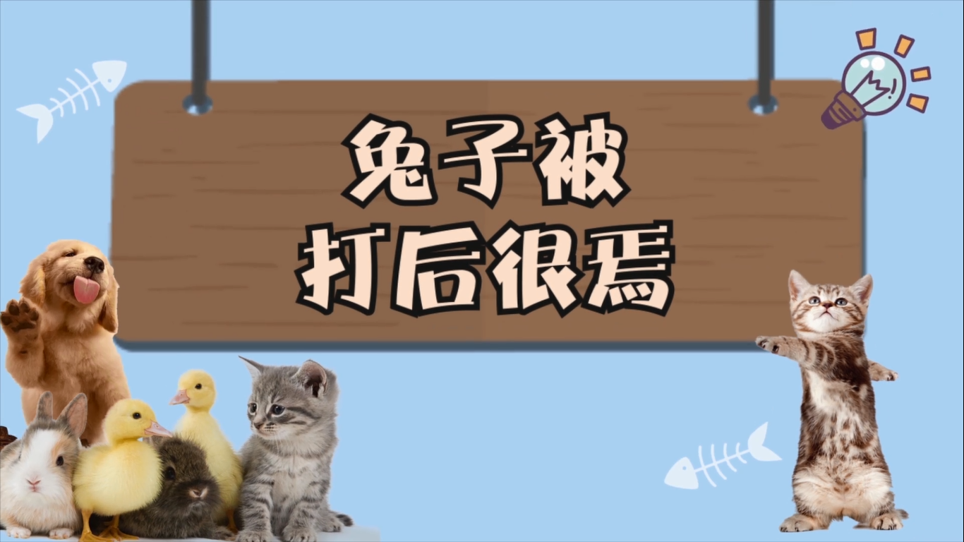 兔子被打后很焉
