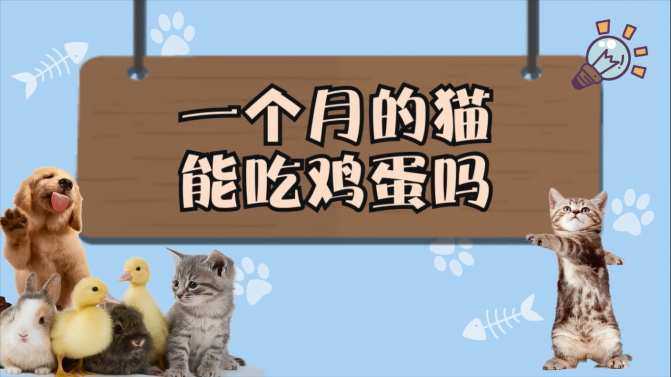 一个月的猫能吃鸡蛋吗