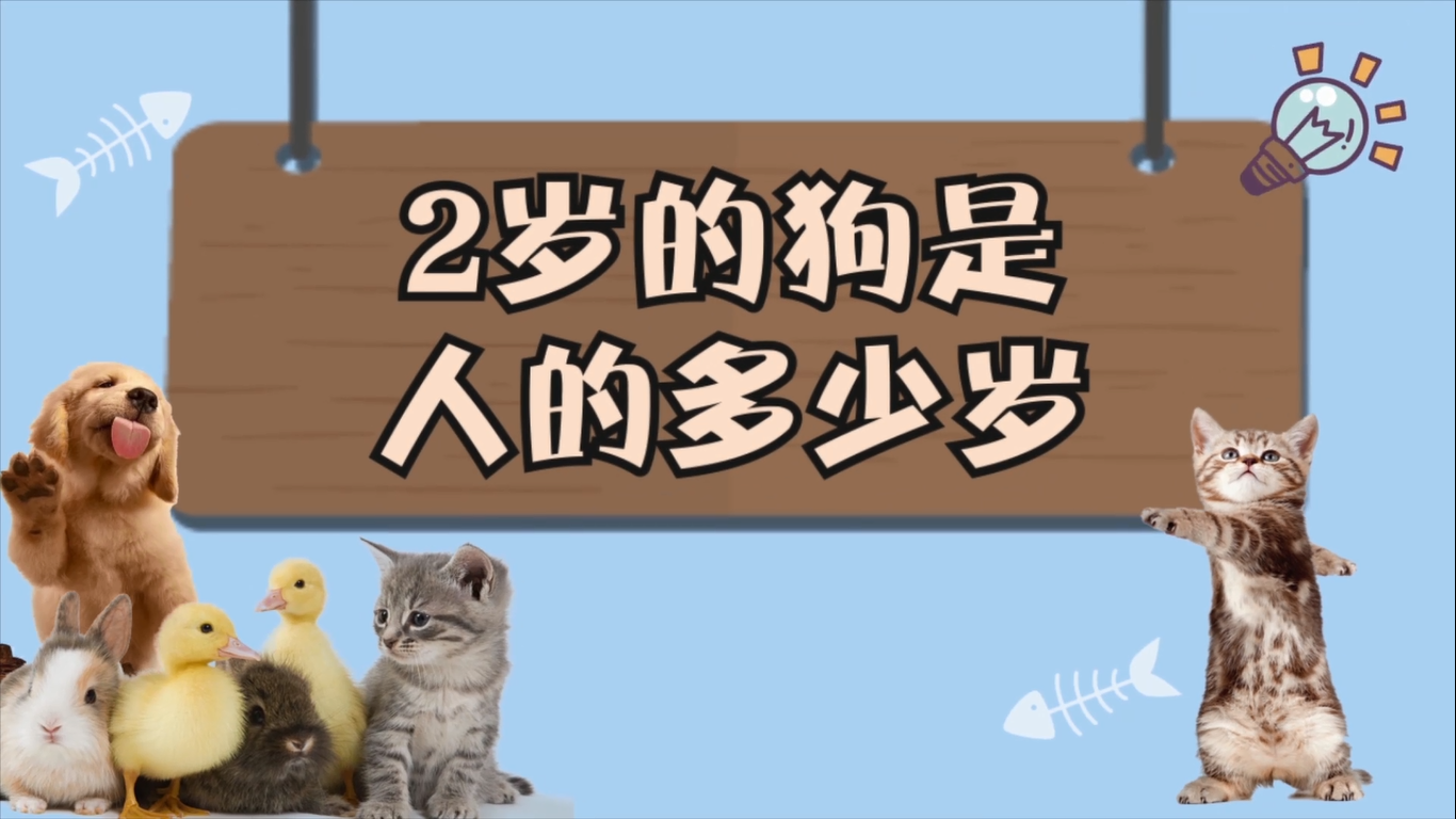 2歲的狗是人的多少歲