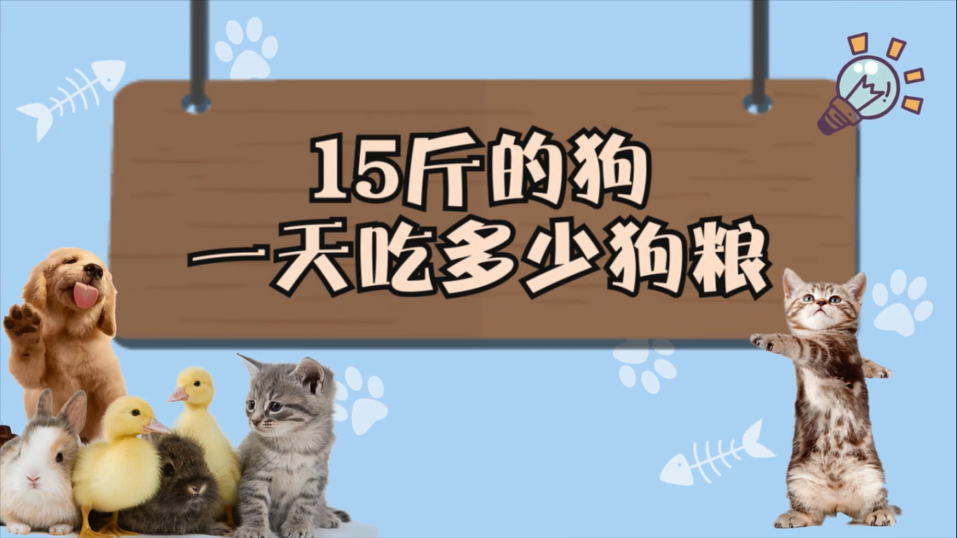 15斤的狗一天吃多少狗糧