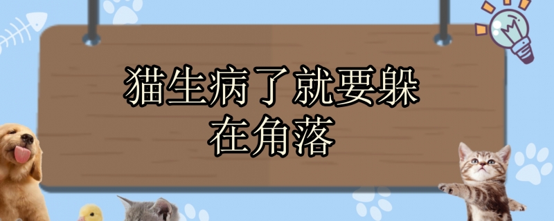 猫生病了就要躲在角落