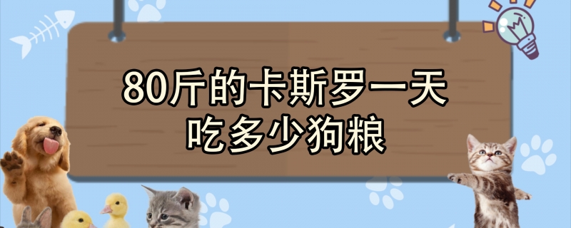 80斤的卡斯罗一天吃多少狗粮