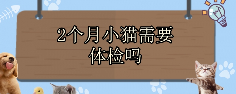 2个月小猫需要体检吗