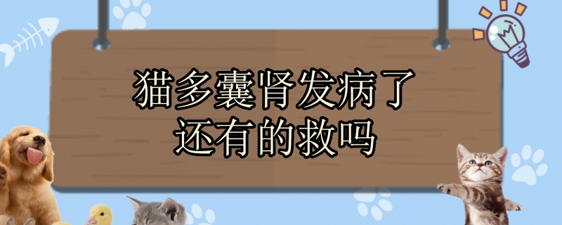 猫多囊肾发病了还有的救吗