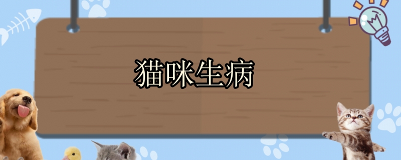 猫咪生病