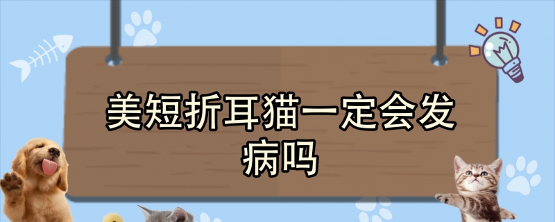 美短折耳猫一定会发病吗