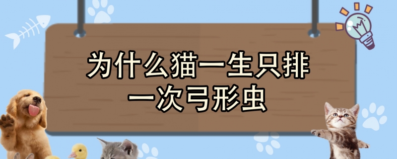 为什么猫一生只排一次弓形虫