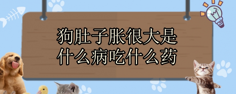 狗肚子胀很大是什么病吃什么药