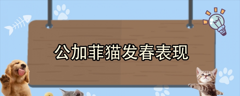 公加菲猫发春表现