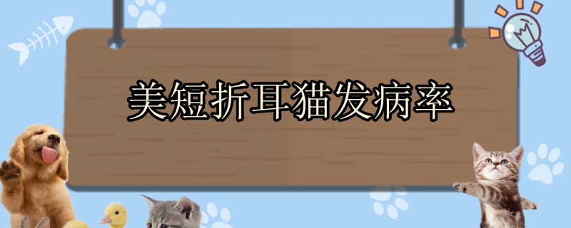 美短折耳猫发病率