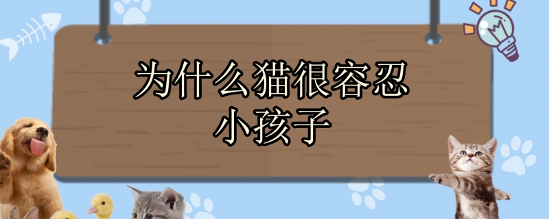 为什么猫很容忍小孩子