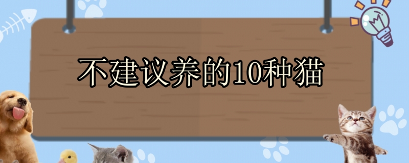 不建议养的10种猫
