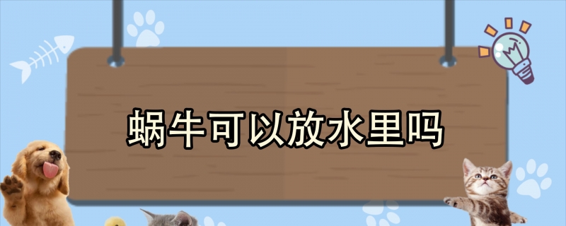 蜗牛可以放水里吗
