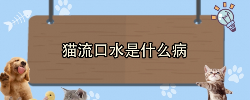 猫流口水是什么病