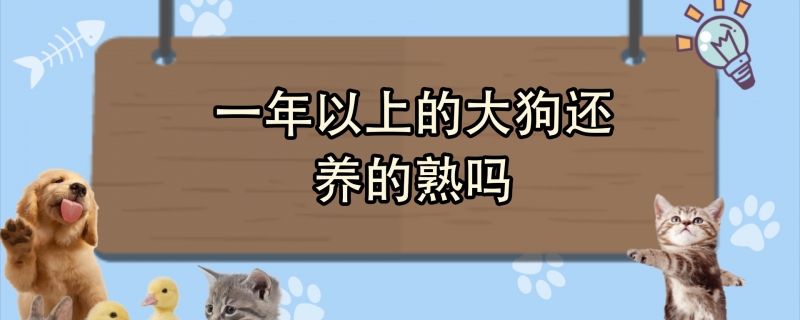 一年以上的大狗还养的熟吗