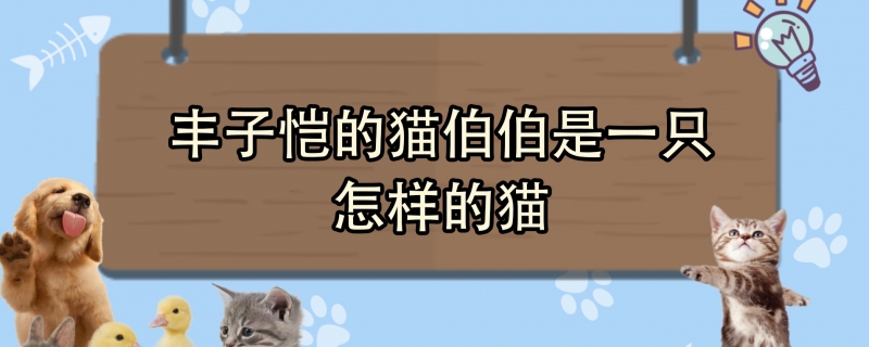 丰子恺的猫伯伯是一只怎样的猫