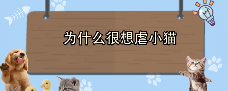 为什么很想虐小猫