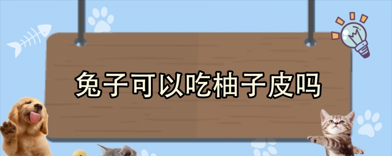 兔子可以吃柚子皮吗