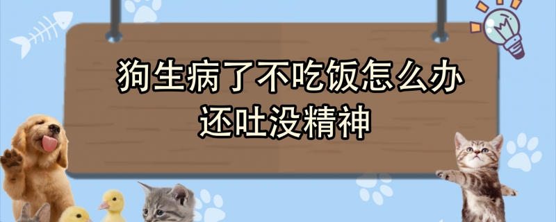 两个月小猫感冒必死