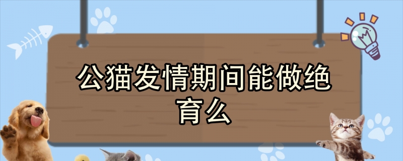 公猫发情期间能做绝育么