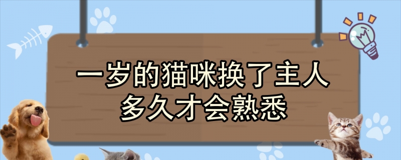 一岁的猫咪换了主人多久才会熟悉