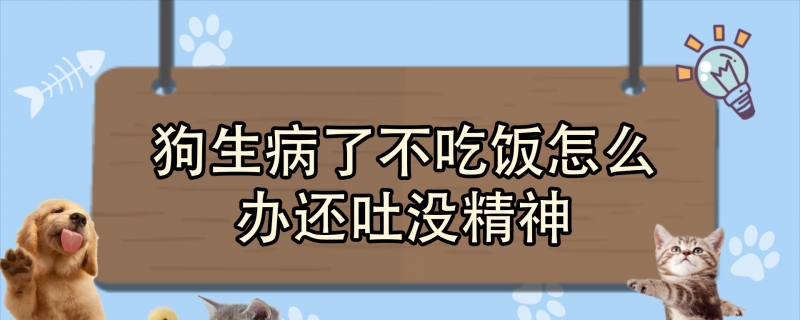狗生病了不吃饭怎么办还吐没精神？