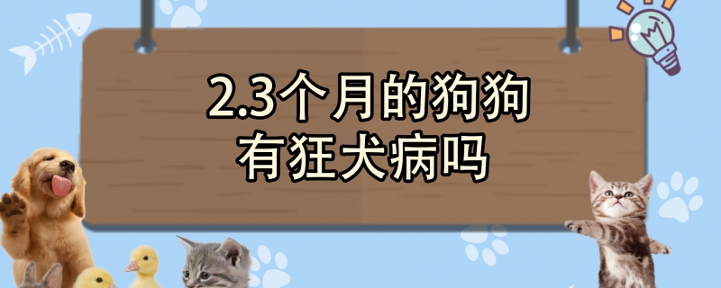 2.3个月的狗狗有狂犬病吗