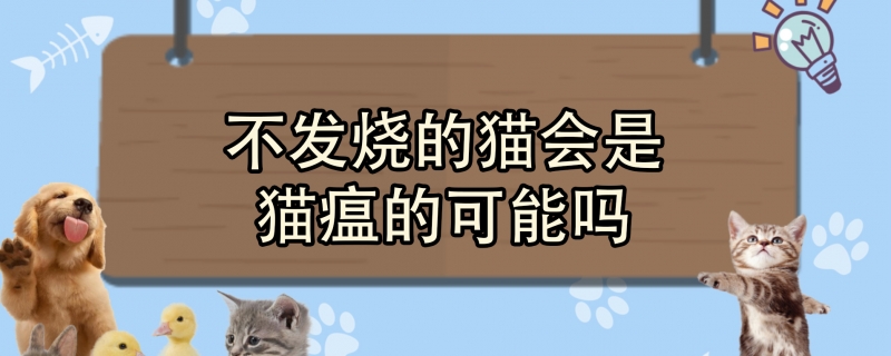 不发烧的猫会是猫瘟的可能吗