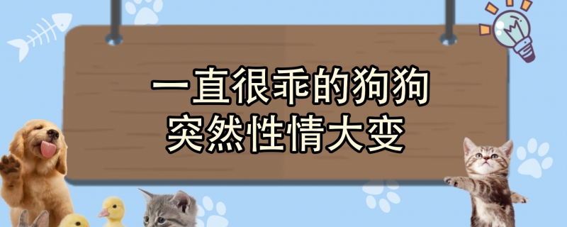 一直很乖的狗狗突然性情大变