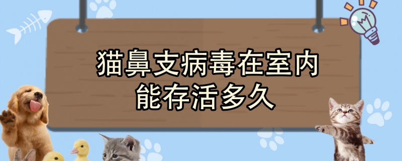 猫鼻支病毒在室内能存活多久