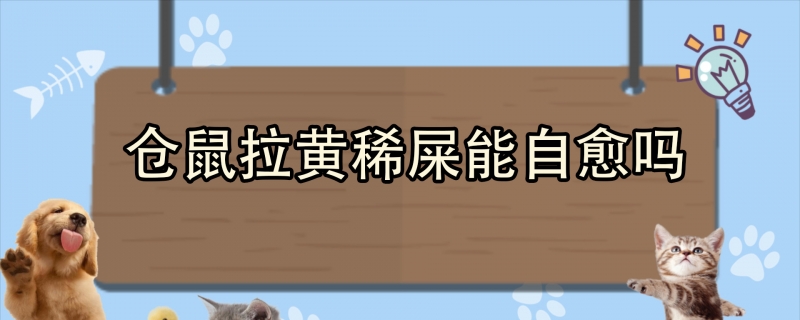 仓鼠拉黄稀屎能自愈吗