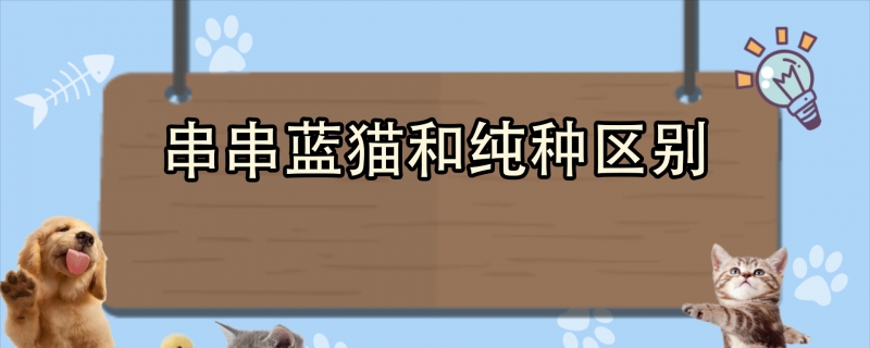 串串蓝猫和纯种区别