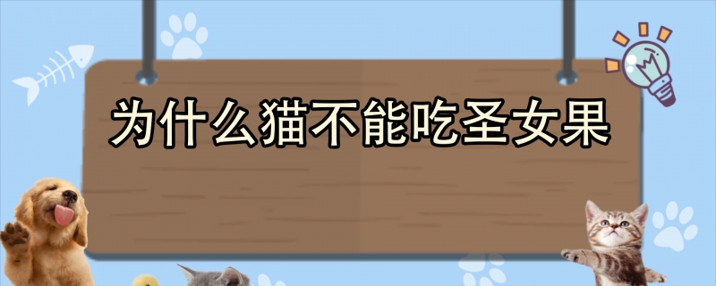 为什么猫不能吃圣女果