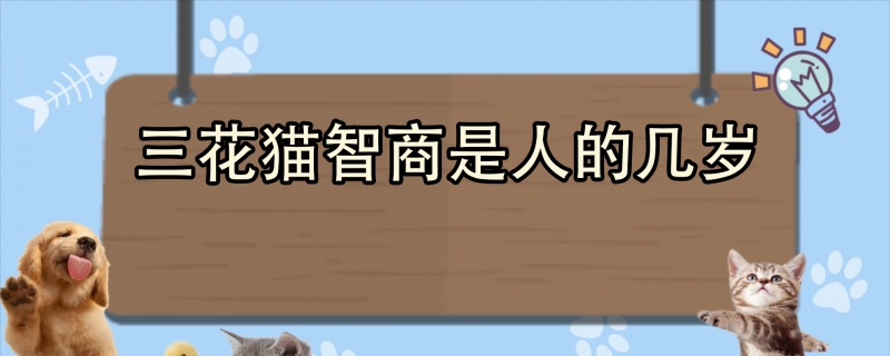 三花猫智商是人的几岁