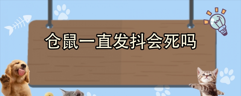 仓鼠一直发抖会死吗