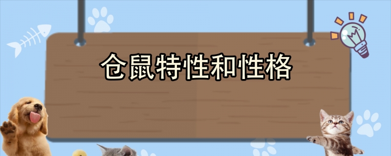 仓鼠特性和性格