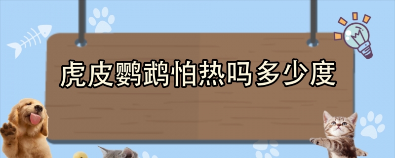 虎皮鹦鹉怕热吗多少度