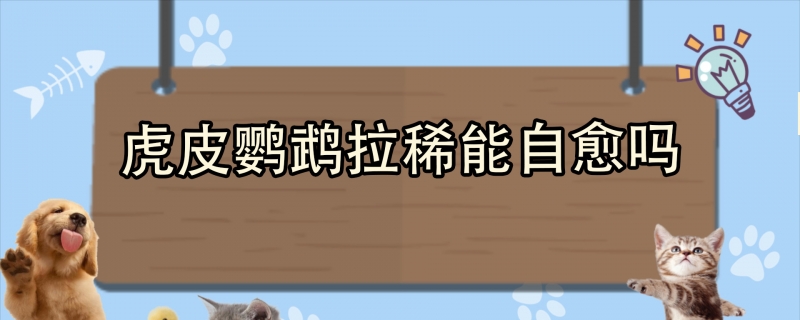 虎皮鹦鹉拉稀能自愈吗