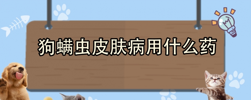 狗螨虫皮肤病用什么药