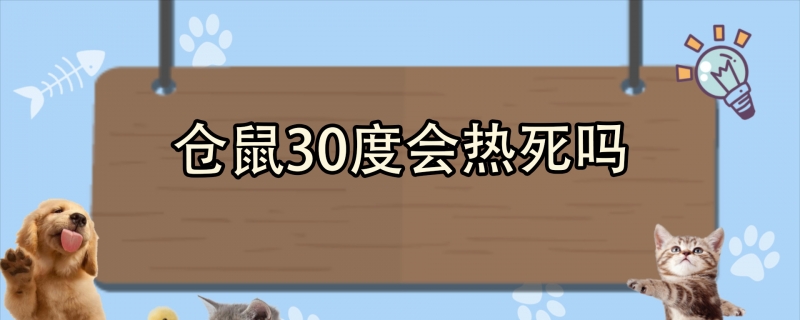 仓鼠30度会热死吗