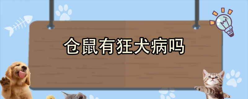 仓鼠有狂犬病吗