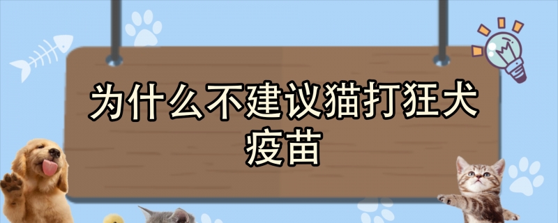为什么不建议猫打狂犬疫苗