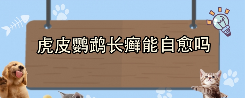 虎皮鹦鹉长癣能自愈吗