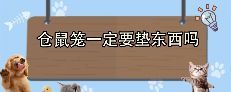 仓鼠笼一定要垫东西吗