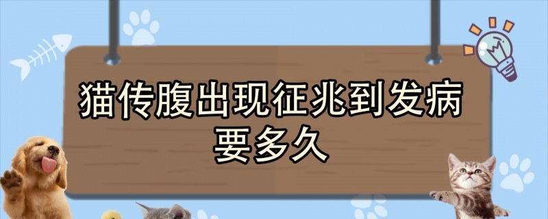 猫传腹出现征兆到发病要多久？