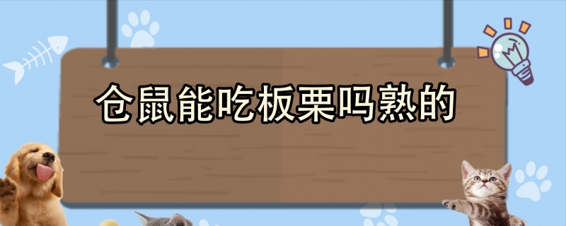 仓鼠能吃板栗吗熟的