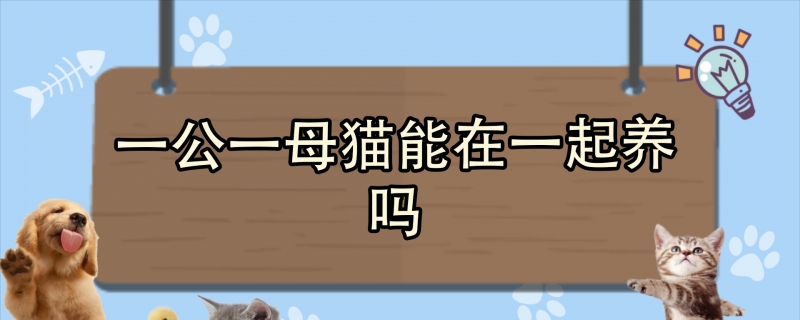 一公一母猫能在一起养吗