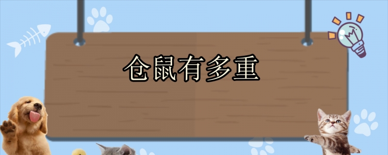 仓鼠有多重
